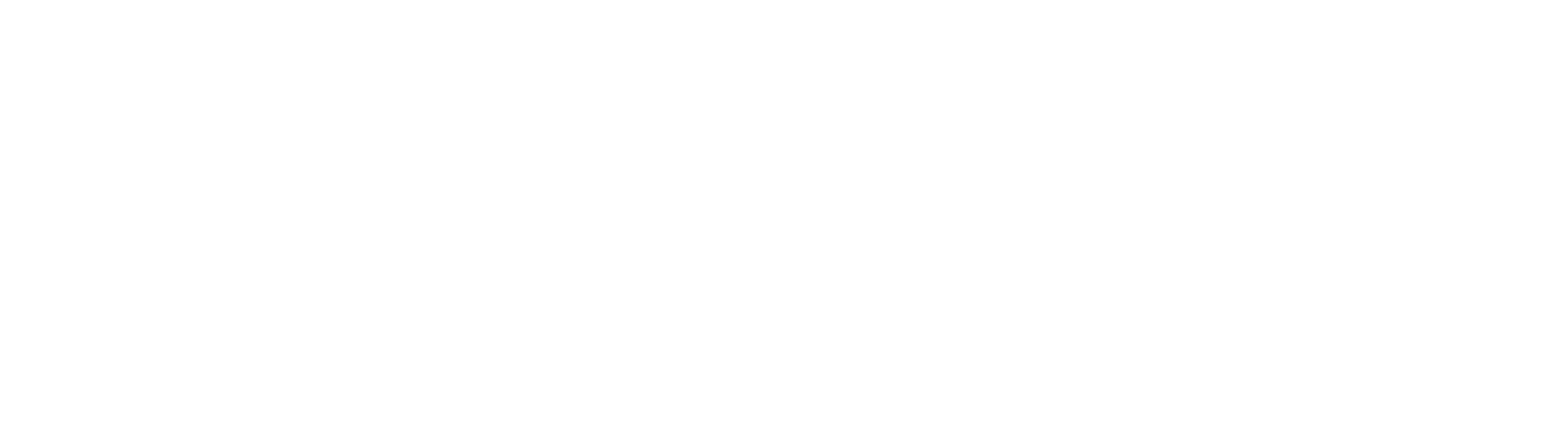 suncoast logo
