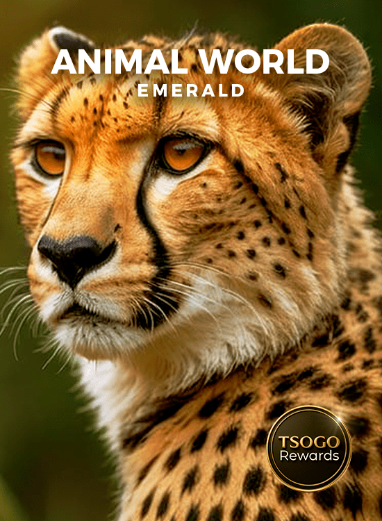 animal world
