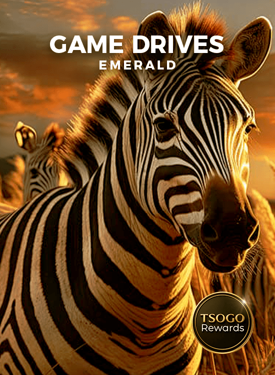game drive