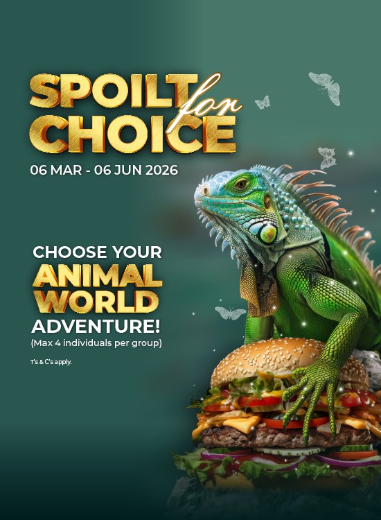 Spoilt for Choice @ Animal World
