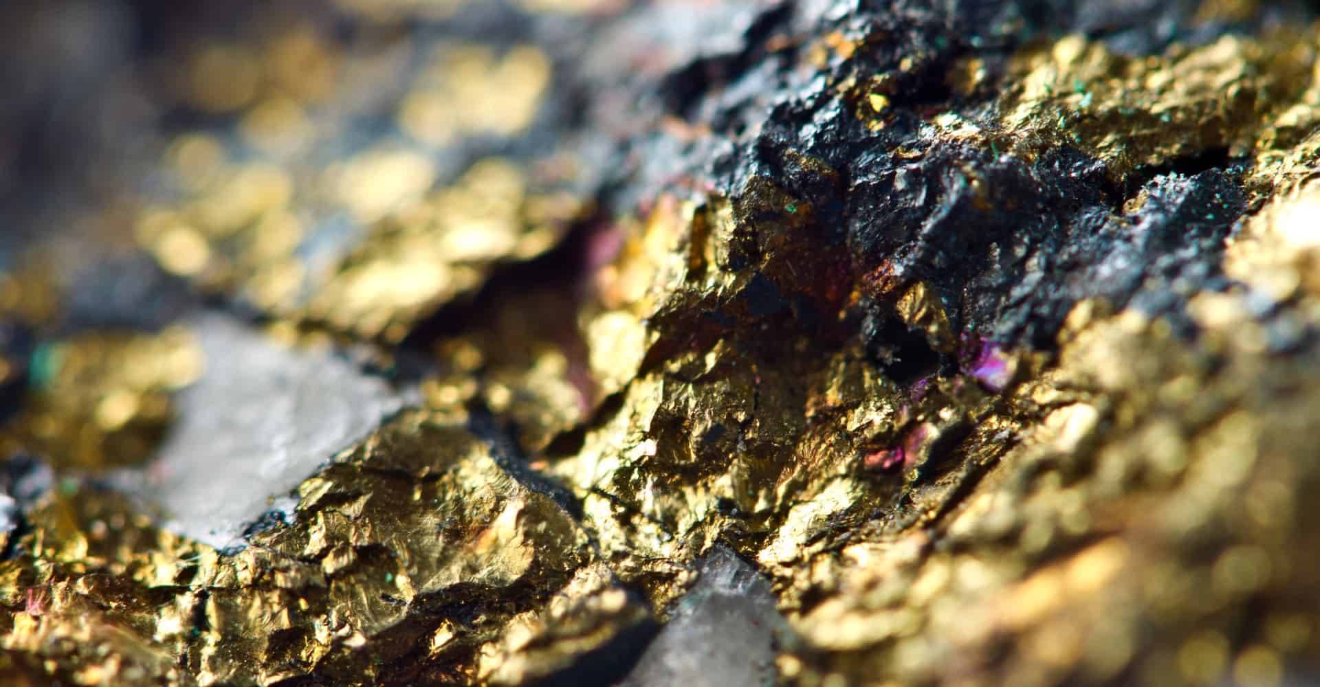 Gold Panning at Gold Reef City
