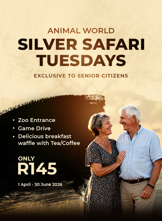 Silver Safari Tuesdays