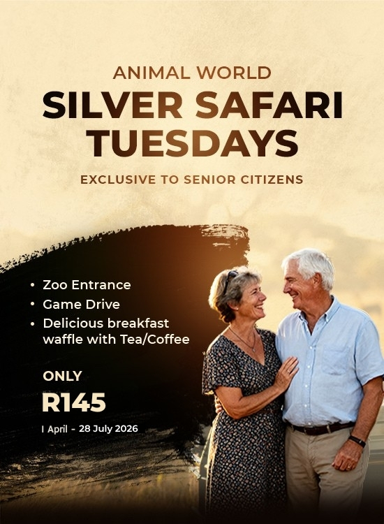 Silver Safari Tuesdays