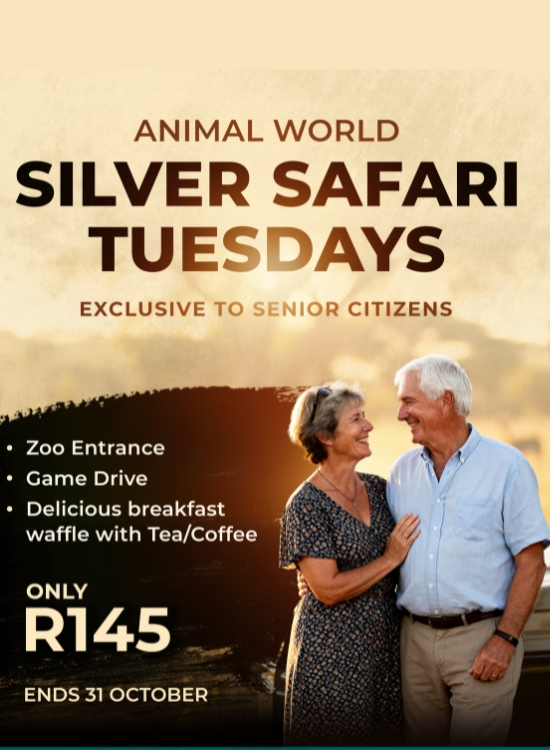 Silver Safari Tuesdays