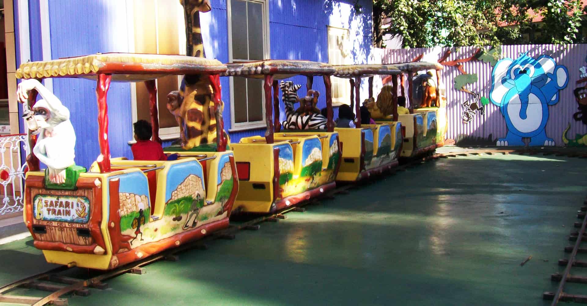 Safari Train