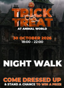 Trick or Treat