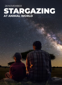 Stargazing