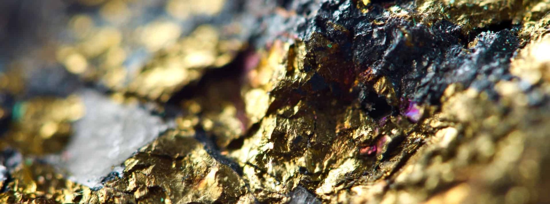 Gold Panning at Gold Reef City