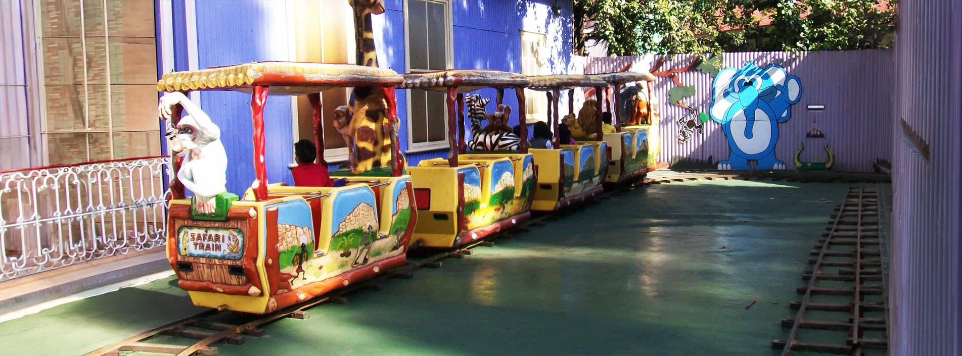 Safari Train