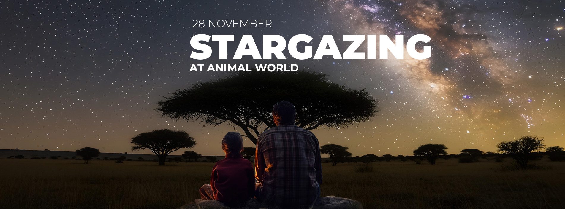 Stargazing