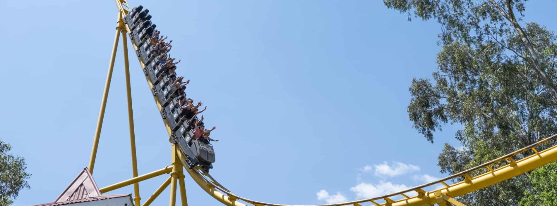 Golden Loop